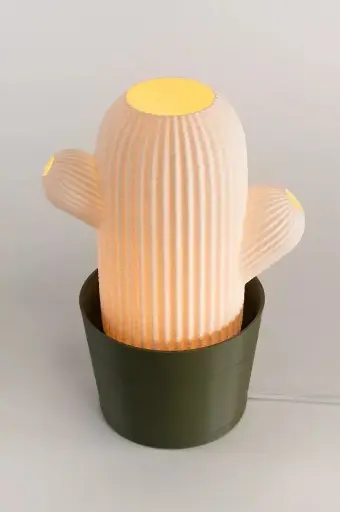 Cactus Lamp
