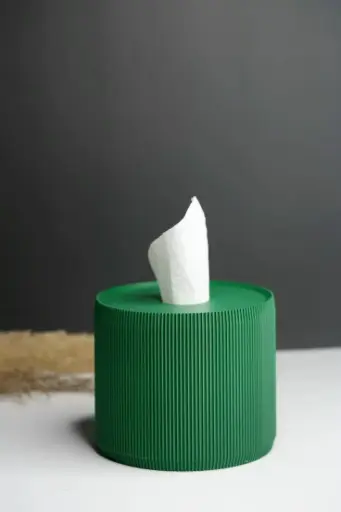 Tissue Holder